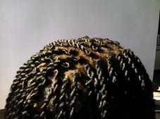 Up Close View of Senegalese Twists