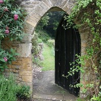 Susan Ashley's photo