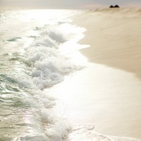 Erica Handy's photo