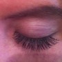 Classic Weekly lash fill