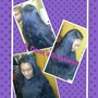 Lace Closure Sew In