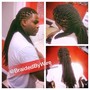 Adult Braids (NO Extensions)