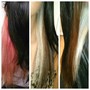 Haircolor All Over