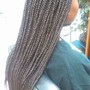 Havana Twists