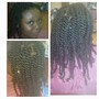 Knotless Box Braids