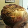 Root Touch Up Color