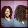 Natural Twists