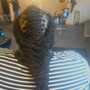 2 STRAND TWISTS(Starter Loc Method)FLAT TWISTS