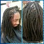 Starter Locs SMALL