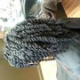 Passion Twists short