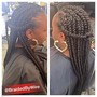 Adult Braids (NO Extensions)