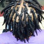 Dread loc start