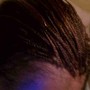 Two strand/flat twist(shampoo included)