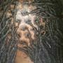 Retwist and Style Large Lower Back