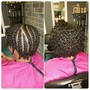 Starter Loc Twists