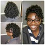 Starter Loc Twists