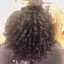 Two Strand Twist Out