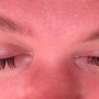 Eyelash Fill (2 weeks)