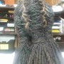 Knotless Passion / Butterfly Braids