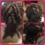 Crochet Havana Twist