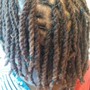 Dread Touch Up (not a full hair do)