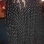 Adult Medium Box Braids