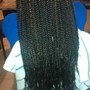 Kids Medium/ Small Box Braids