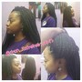 Pretwisted crochet Senegalese twists