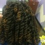 Starter Locs/Loc Cultivation