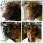 Root Touch Up