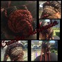 Crochet Braids