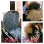 Root Touch Up