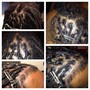 Starter Locs