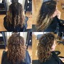 Highlights, PARTIAL HEAD