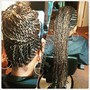 Comb Twist