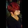 VIP Single process Color/Straighten/Style