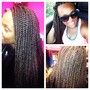 Havana/Marley Twists