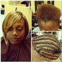 Root Touch Up