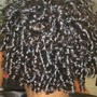 Princess Blowout/ 2strand twist