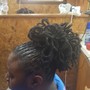 2 strand twist plates on short locs