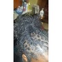 Root Touch Up