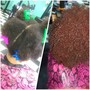 Relaxer partial