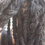 Natural Coils