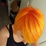 Blowout +Olaplex