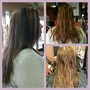 5 foils- 1 color