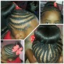 Individual Braids/Twist