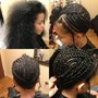 Small Box Braids