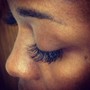 1 week Lash touch Up