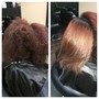 Root touch up