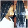 Box Braids/Senegalese/Kinky Twists